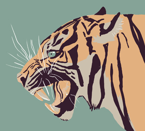 tiger
