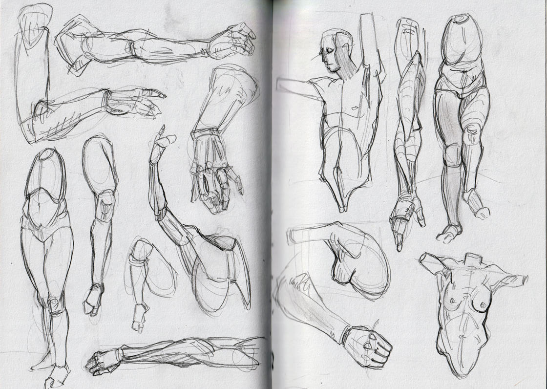 anatomy_study_02