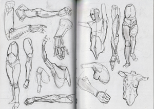 anatomy_study_02