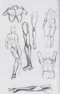 anatomy_study_03