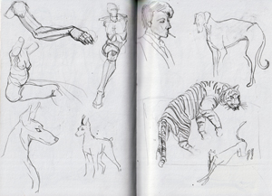 anatomy_study_05