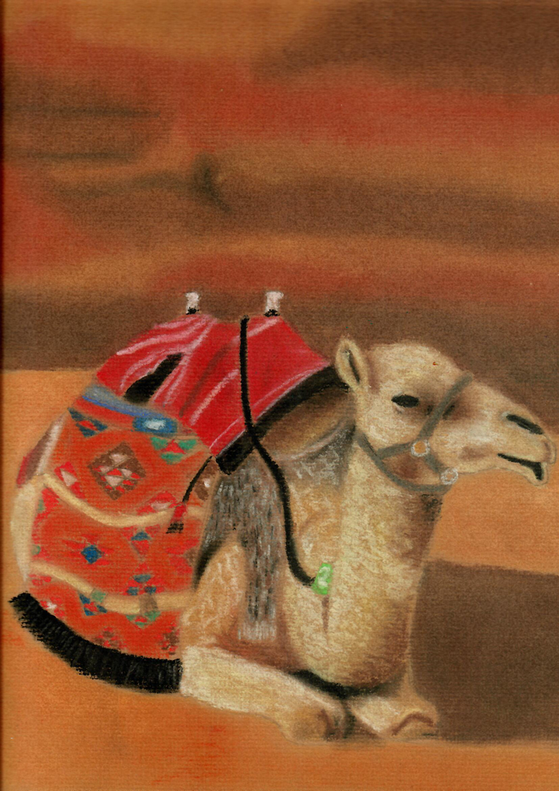 camel