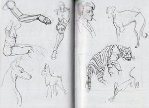 Anatomy Study #5