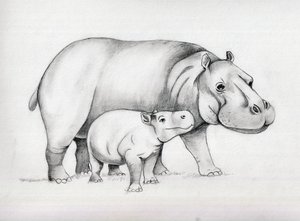 Hippos